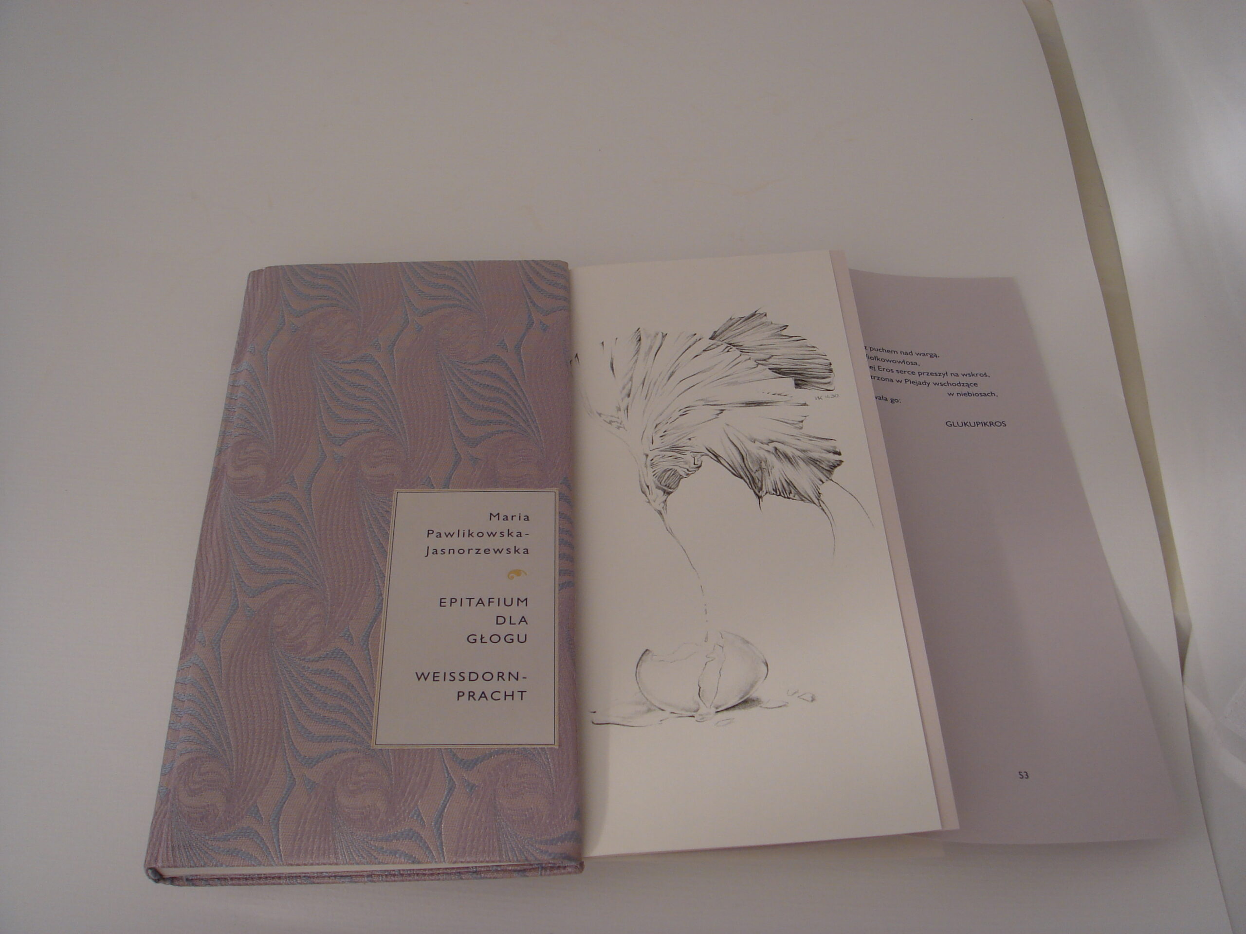 Maria Pawlikowska-Jasnorzewska, || Epitaph for Hawthorn - Image 2